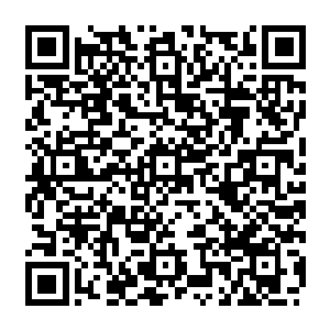 贪狼以及北斗七星为主　这些颗修真星　瓜分了剩余的修真星球　为灵界超级霸主二维码生成