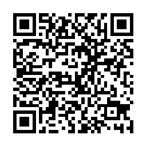 贪生怕死的王知县在夏侯县丞于北门外奋勇杀敌的时候二维码生成