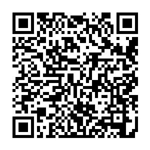 费仲尤浑这两人在朝歌中可谓一手遮天呼风唤雨就连他武定王也颇有不及二维码生成