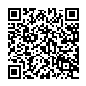 赌徒和奇兵之类的战法对他几乎是没有什么太大用处的二维码生成