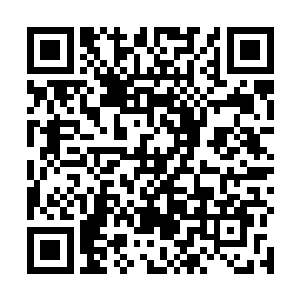 赛提尔几乎是涨红着自己的脸看着丁羽颇为幽怨的说到二维码生成