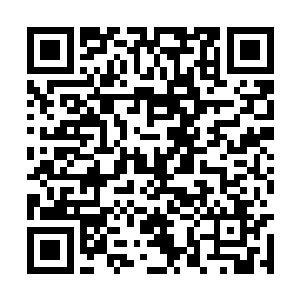 赛琳娜终于发现离开你会是她所做的最明智决定了二维码生成