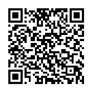 赛贝尔身上原本就恐怖的波动仿佛爆表一样狂涨起来二维码生成