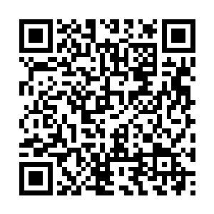 赤炎神蛟仿佛感觉自己受到了什么巨大的侮辱一般二维码生成