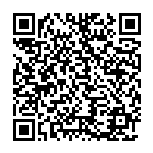 赤烈天和赤烈地两兄弟的境界就从玄气期跨过玄露期达到了玄丹期二维码生成