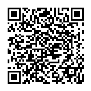 赫然就是nba巨星马勒的豪宅……据说他当初买下这一栋豪宅别墅的原因之一二维码生成