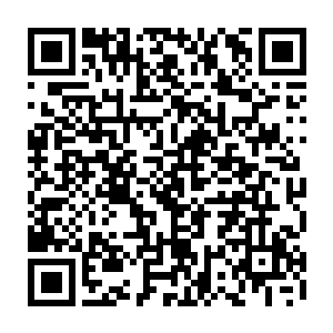 赫然是天荒剑术前三十三式融合的一剑与天荒剑术中三十三式融合的一剑二维码生成