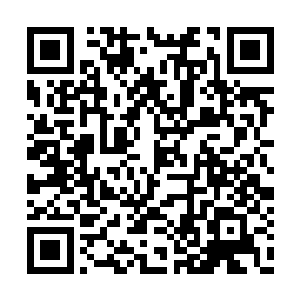 赫然是实力还在众人所在的家族之上的司空世家二维码生成