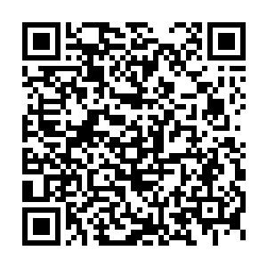 赫然正是曾经威震苍穹天宇的无上王者无极大帝的法宝鸿蒙虚天塔二维码生成