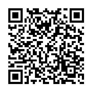 走了几天的路程终于返回到花花世界的城镇当中二维码生成