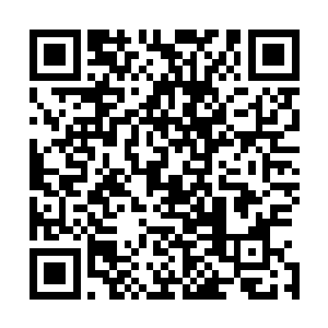 走到了一边打了个电话没有三分钟贝海就又回到了桌子旁边二维码生成