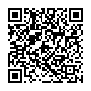 走到了厨房的后面他们发现这厨房后边的碗筷堆级如山二维码生成