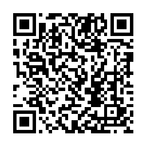 走在前面带路的郑月听到自己弟弟和秦宇交谈的内容二维码生成