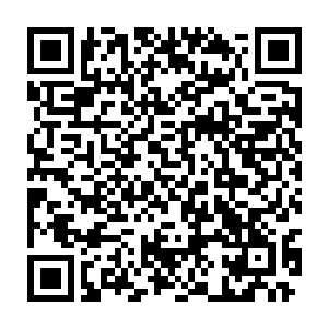 走廊里获救的乘客们听到电梯井里那尖锐的金属鸣叫声都开始哭喊起来二维码生成