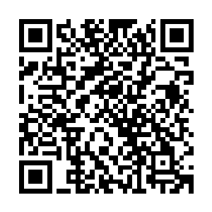 走的时候带走了毒玫瑰集团交付给南关村的住房补助金五百多万二维码生成