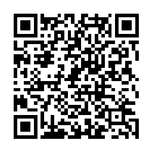 走路一颠一颠的老头儿牵着一条很大的狼犬从院里走过来了二维码生成