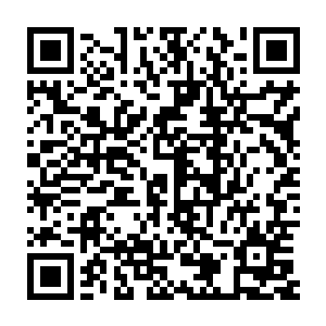 赵世宁在那头也能看到她那双如小鹿一般的眼睛此刻一定充满了害怕二维码生成