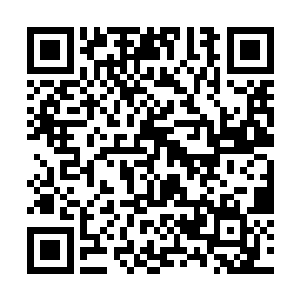 赵小柔先前在他面前表现得很想拿下他公司的那块地二维码生成