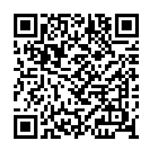 赵斌的脸上多了一个青紫的手掌印和几道血印子二维码生成