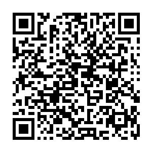 赵柯便用自己和谢云澜联系的方式告知了他芳华小姐即将再次去府上的消息二维码生成