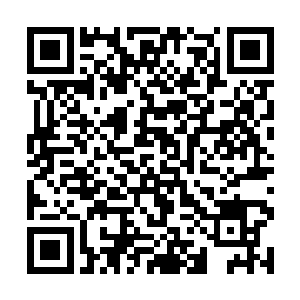 赵氏和其他被背叛抛弃的世家会生吞活剥了他们两家二维码生成