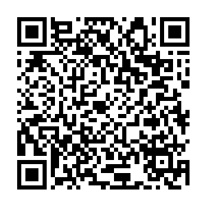 赵祯只好坐好继续听礼部官员给他讲述等一会点草龙金粉的时候需要注意的事项二维码生成