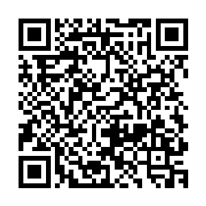 赵秦的双掌在即将碰触到秦宇身躯的时候突然化作了道道雷声二维码生成