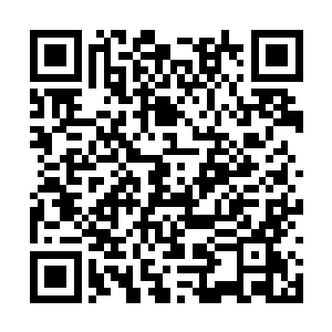赵紫薇看到大门外骚乱的人群终于稍稍平静了下來二维码生成