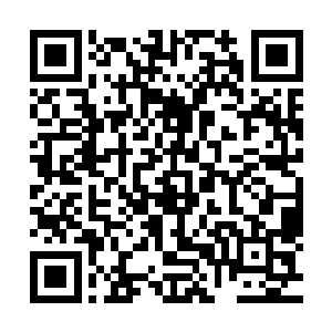 赵纯良一惊 來不及多说话 直接横身挡在了伊莎贝拉的身前二维码生成
