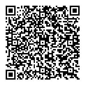 赵纯良并沒有下死手 因为这些人很可能是别的营地的人 而在这片雨林里 所有的人 所有的基地 都是他的私人财产二维码生成