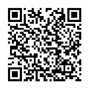 赵纯良是断然不可能承认他杀死过什么红衣主教的二维码生成