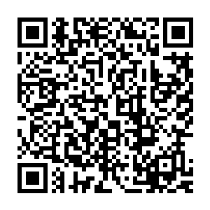 赵纯良的身体似乎已经被第二株的天株打开了另外一条的康庄大道二维码生成