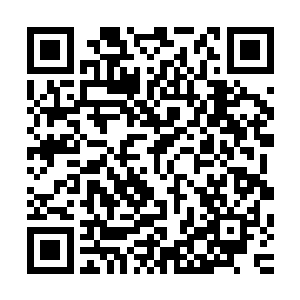 赵纯良终于在丧尸群里找到了四具符合李勇介绍的样子的尸体二维码生成