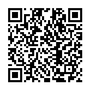 赵纯良都是已经可以和超越桎梏的人硬拼一手的存在了二维码生成
