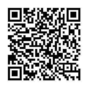 赵虎手中的火焰剑和凌海手中的锋利长剑不断的碰撞到一起二维码生成
