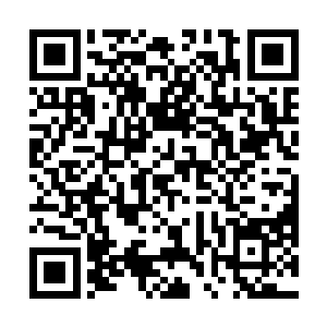 赵长枪之所以阻止崔晓芳其实是怕马格里斯真的有问題二维码生成