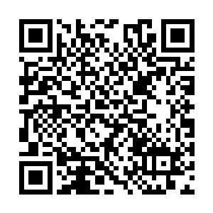 赵长枪实在不愿这个倔强而刚强的女人就这样死去二维码生成