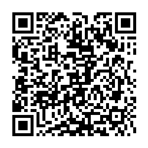 赵长枪将自己到达皮克王国的每一个细节都像过电影一样想了一遍二维码生成