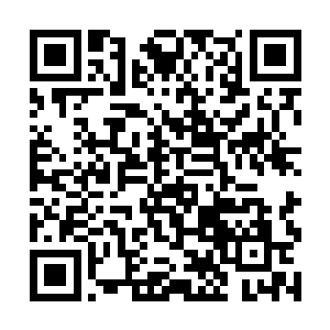 赵长枪擦擦脸上的冷汗低头看看被他抱在怀中的棕熊二维码生成