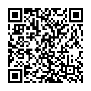 赵长枪这次沒有看到一直陪在白月海身边的小谢出现二维码生成