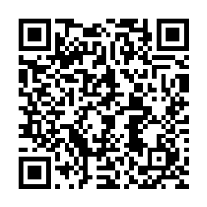 赶在杨念二爷爷和玄学界的大势力交易之前便是先清理了门户二维码生成