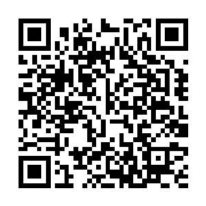 赶紧把手中标注着稀释样本的试管液体放回了架子上二维码生成