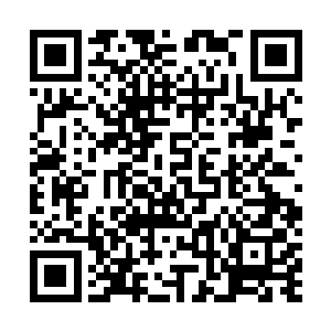 赶紧走……不然被他看到……指不定又把我们揍一顿……二维码生成
