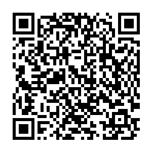 赶紧过来从桌案上倒了一杯温茶伺候赵祯喝了下去扶着赵祯重新睡好小声说二维码生成