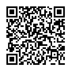 起码从街面上看进去基本都被周边植物挡得差不多了二维码生成