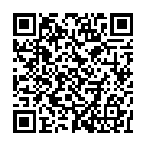 起码杨上将还是从王世子这里得到了满意的答复二维码生成