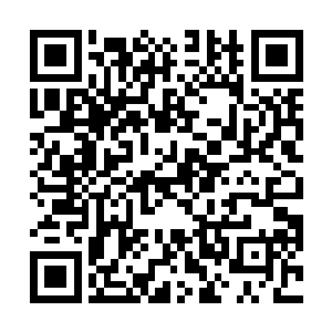 起码还要积累个两三年的时间才能达到的……可现在呢二维码生成