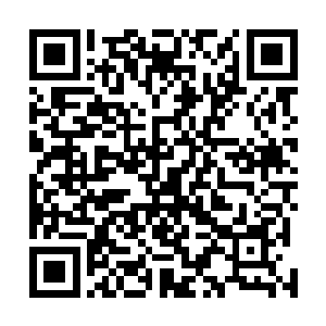 足可以在他的自封印界中孕育出数亿甚至是上百亿的生灵二维码生成