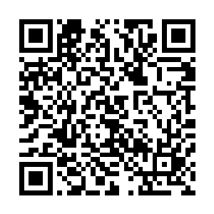 趴在地上的沈笑薇听见白振东所在的那棵大树上响起了枪声二维码生成