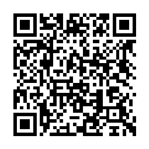 趴在秦宇肩膀上的小九也感觉到秦宇的气势变化二维码生成